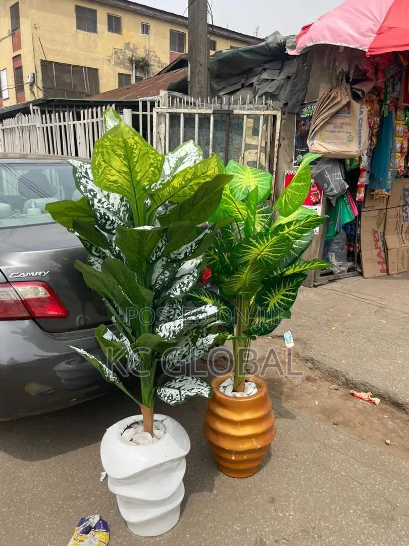 Outdoor and Indoor Flower and Vase Available
