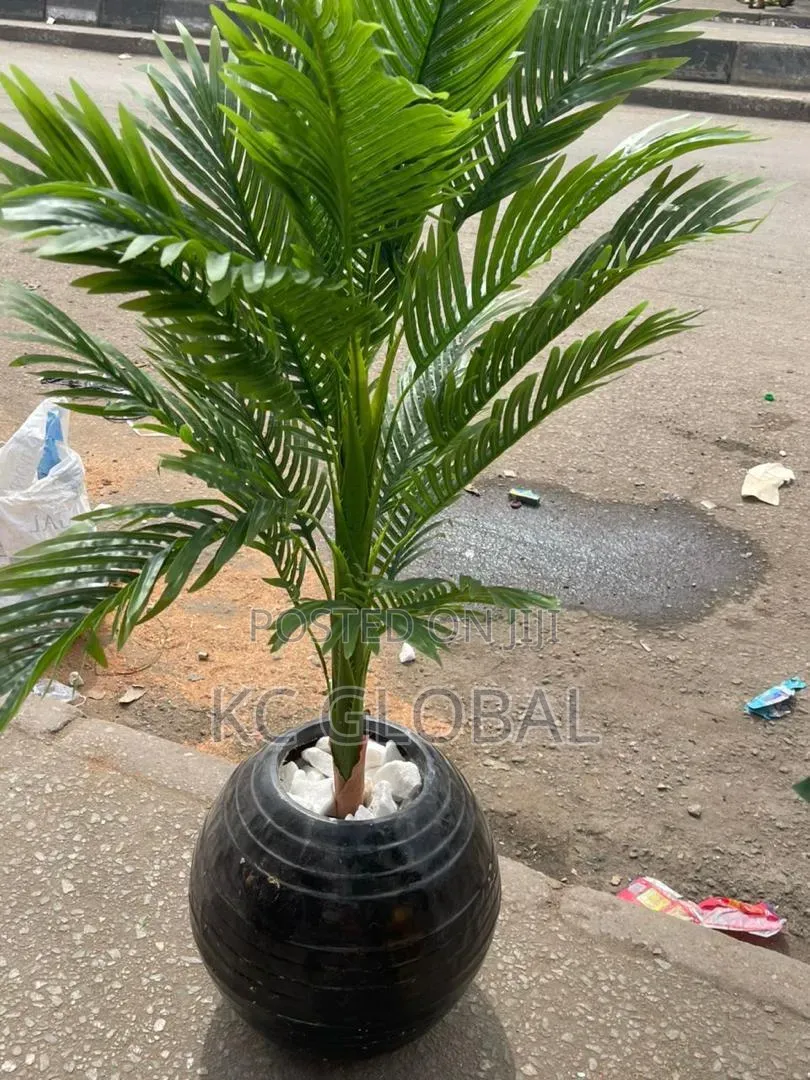 Outdoor and Indoor Flower and Vase Available