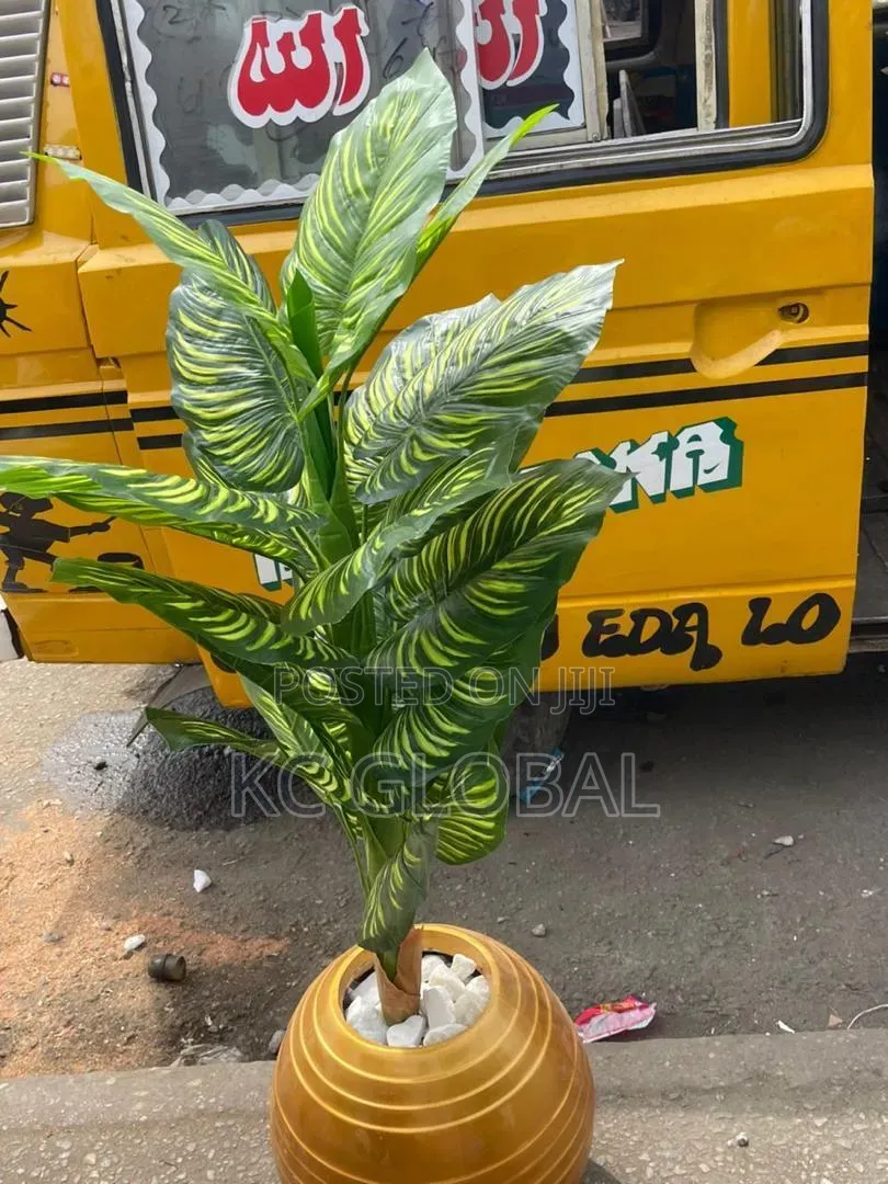 Outdoor and Indoor Flower and Vase Available