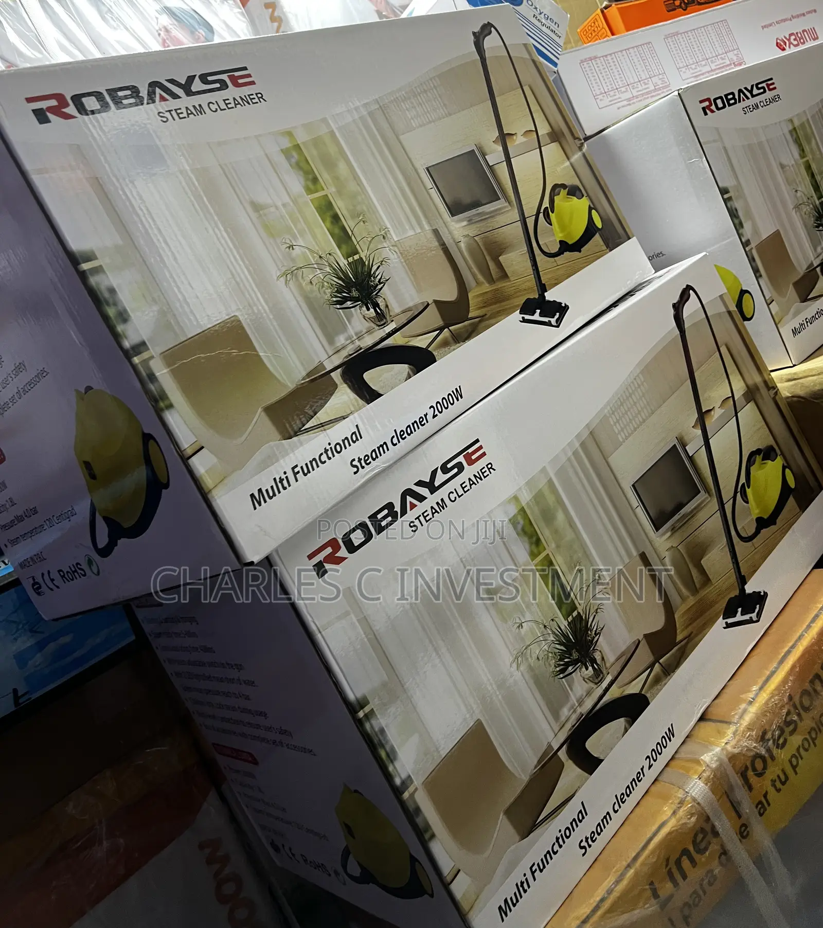 Multifunctional Robayse Steam Cleaner 2000w
