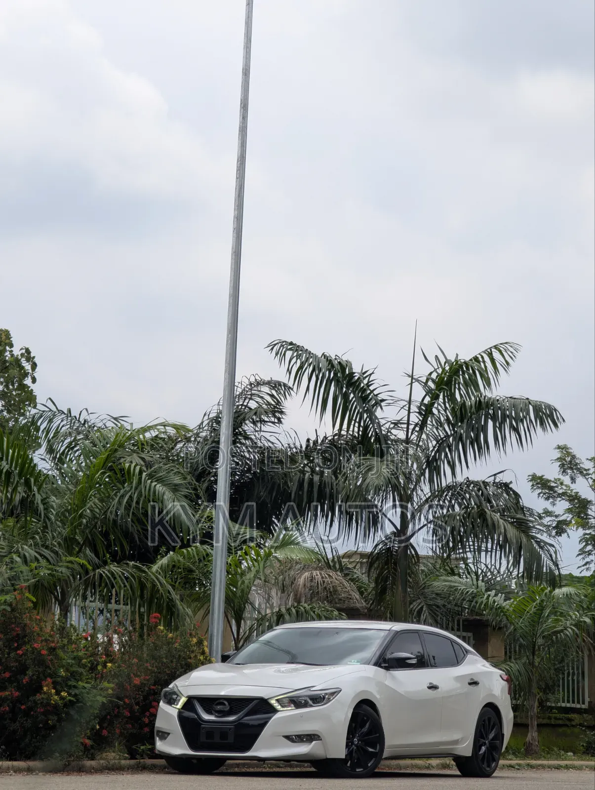 Nissan Maxima 4dr Sedan 2016 White