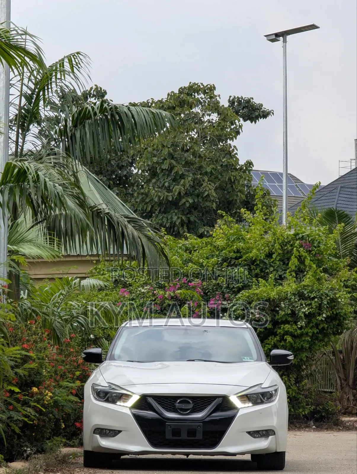 Nissan Maxima 4dr Sedan 2016 White