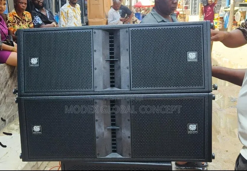Steck Audio Dual 12-Inch Professional Line Array Speakers.