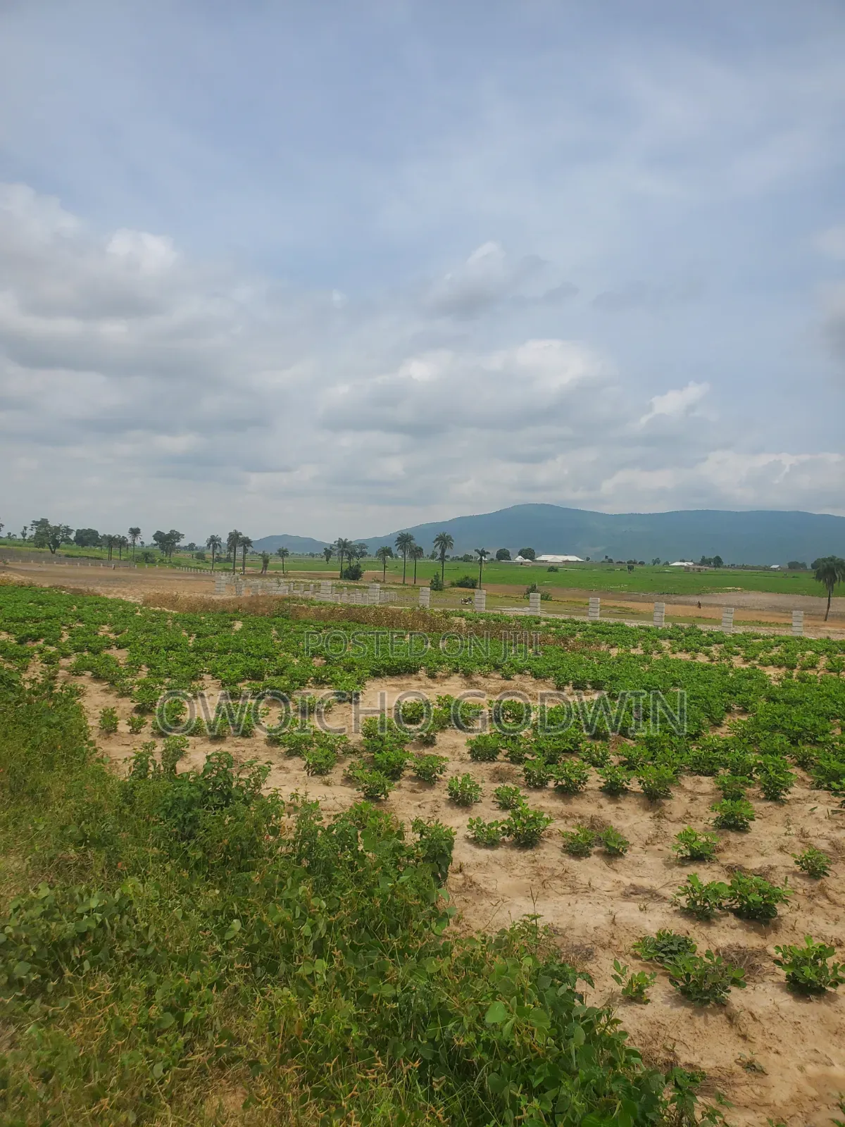 Why Rent Forever? Own a Plot in Karshi With Flexible Payment