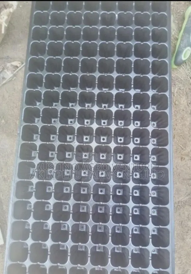 Farm Seed Tray 300 / 250 Holes