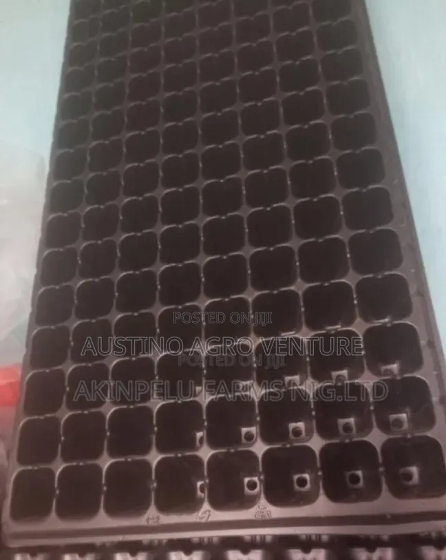 Farm Seed Tray 300 / 250 Holes