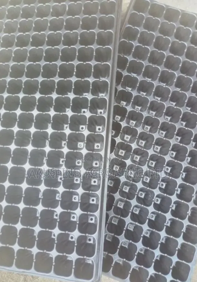 Farm Seed Tray 300 / 250 Holes