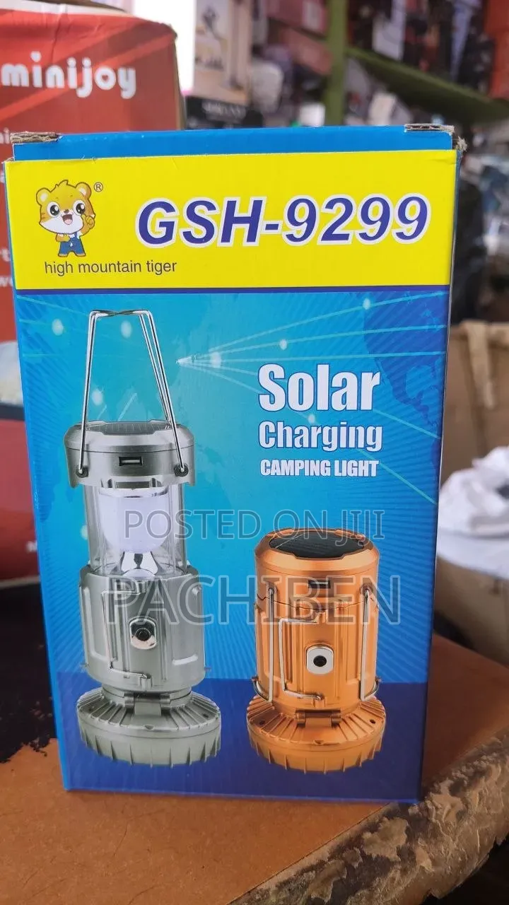 Camping Light and Fan