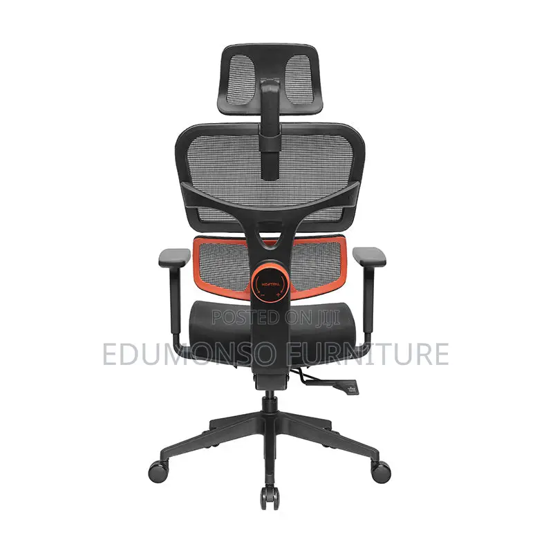 Nt001 Ergonomic Home Office Chair With Auto-Following Lumbar Support