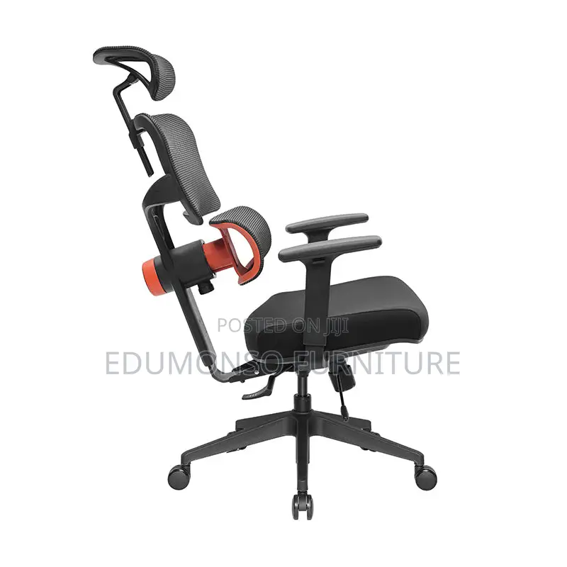 Nt001 Ergonomic Home Office Chair With Auto-Following Lumbar Support