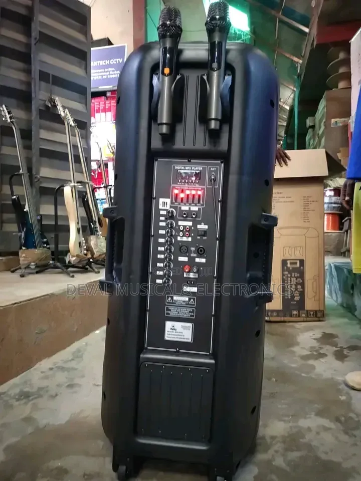 World King Double 15inches Public Adress System With 2wireless Mic