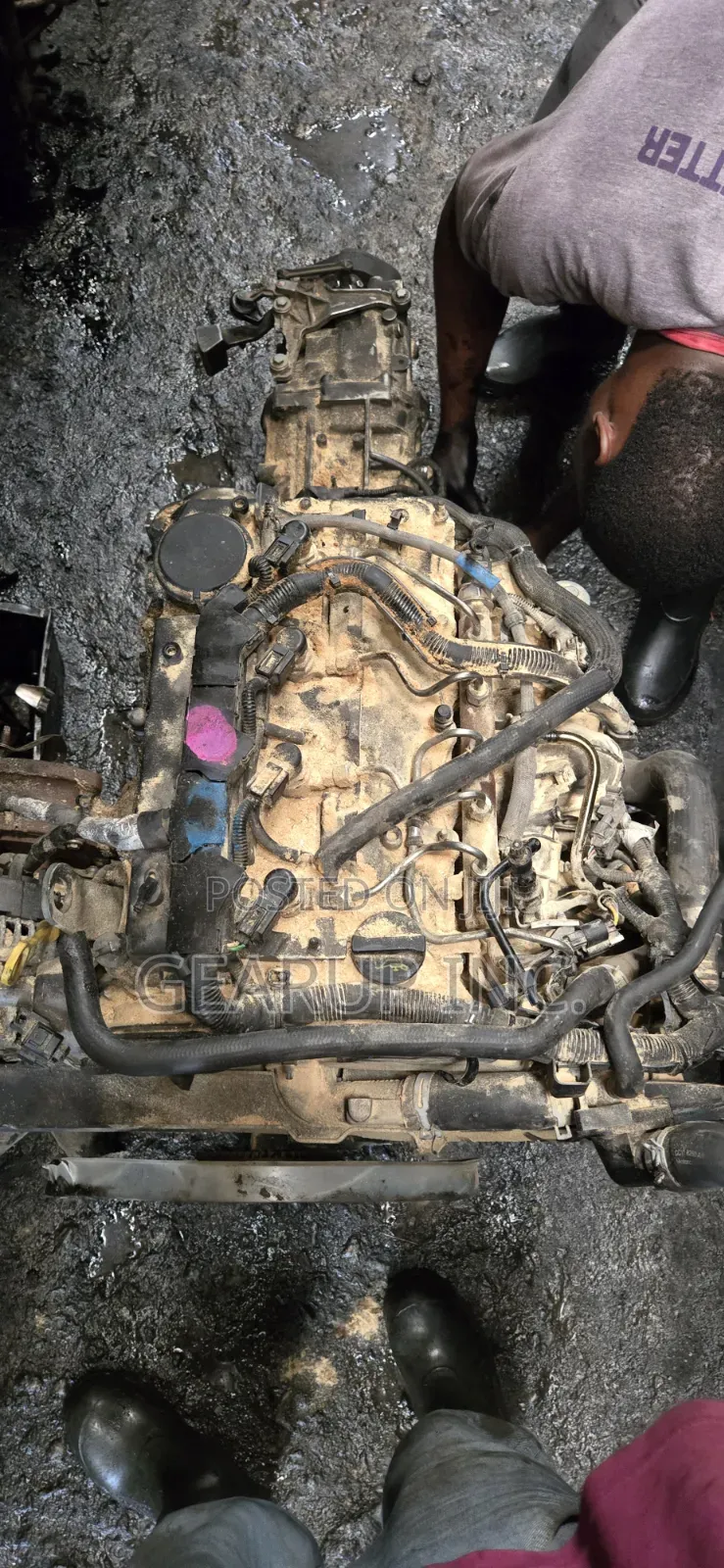 Engine Ford Transit (Diesel) 2011/2020