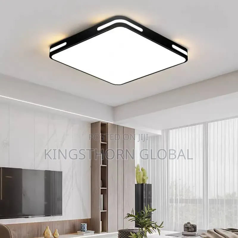 Luxury Pop Ceiling Lights