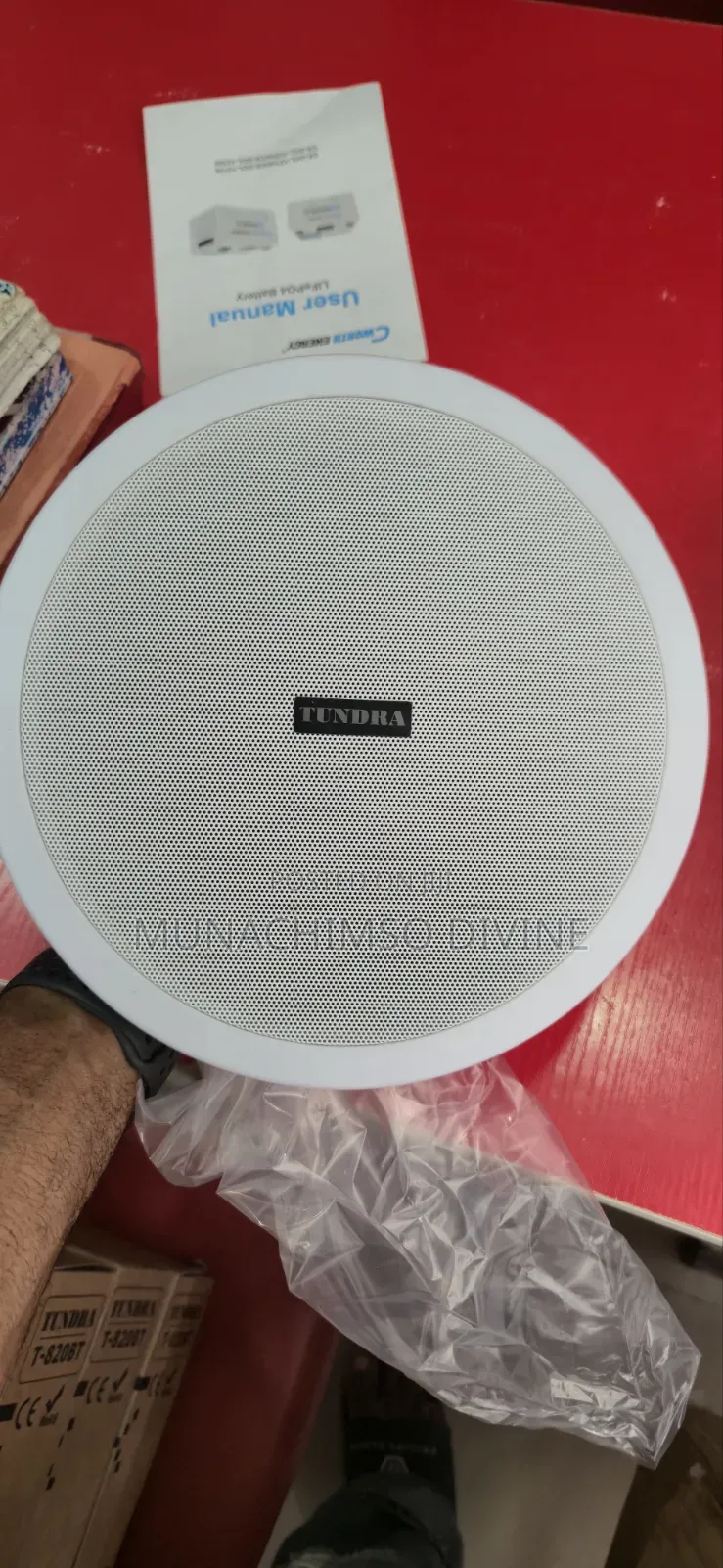 20watts Bluetooth Celling Speaker