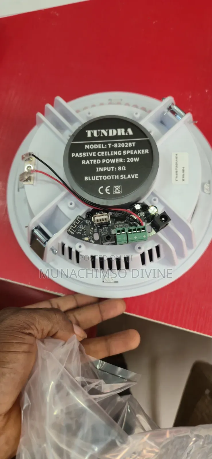 20watts Bluetooth Celling Speaker