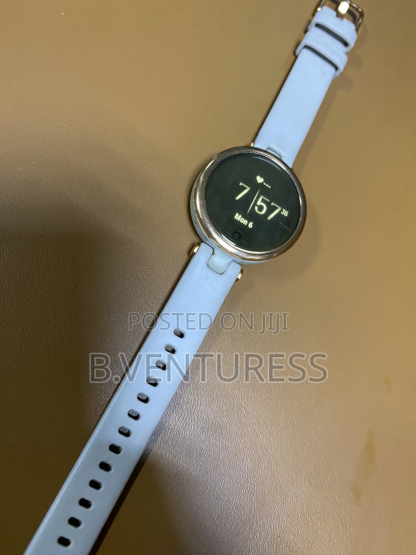 Garmin Lily Smart Watch