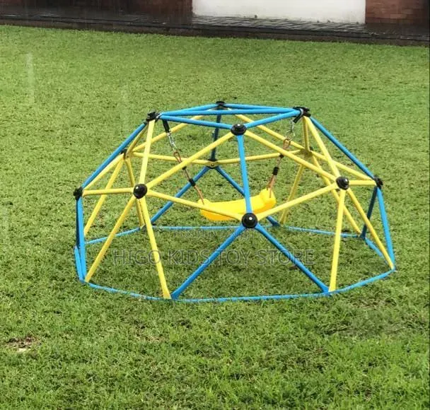 Climbing Dome and Swing