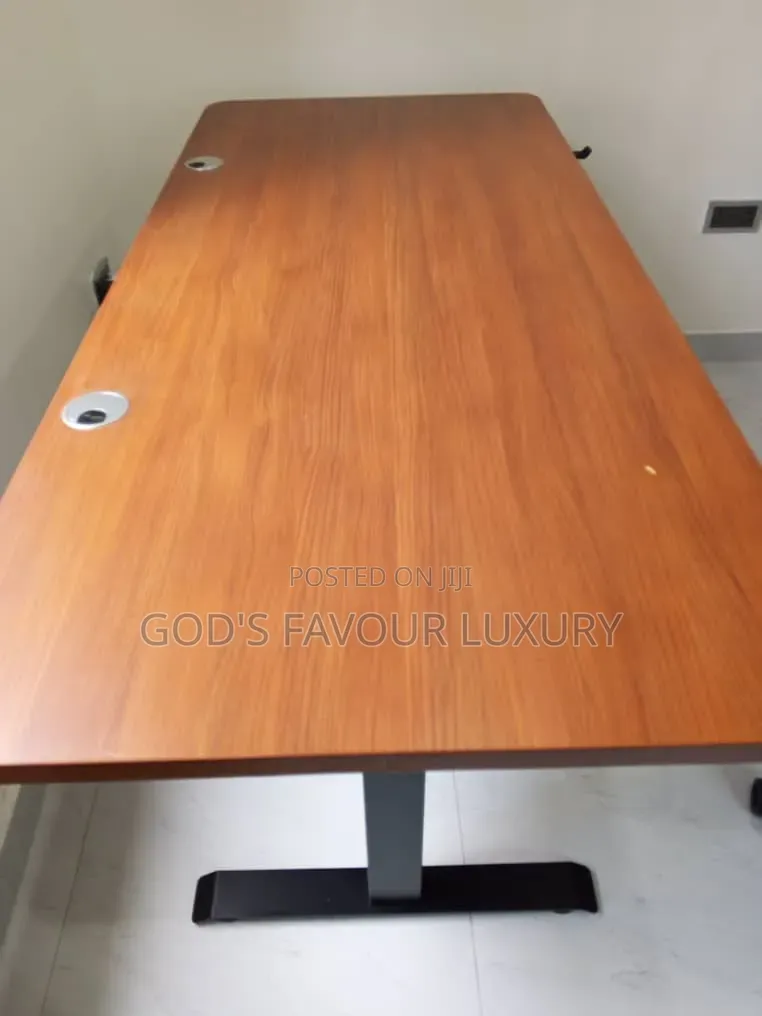 Electric Adjustable Sit to Stand Adjustable Desk