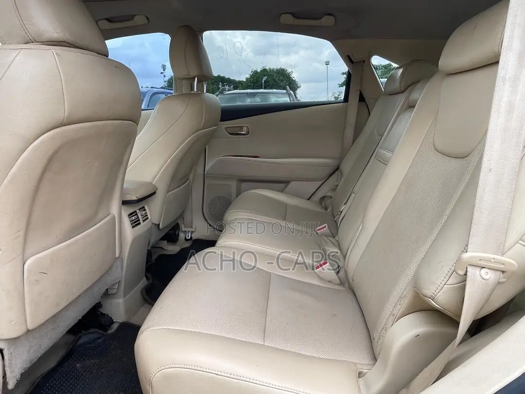 Lexus RX 2010 Black