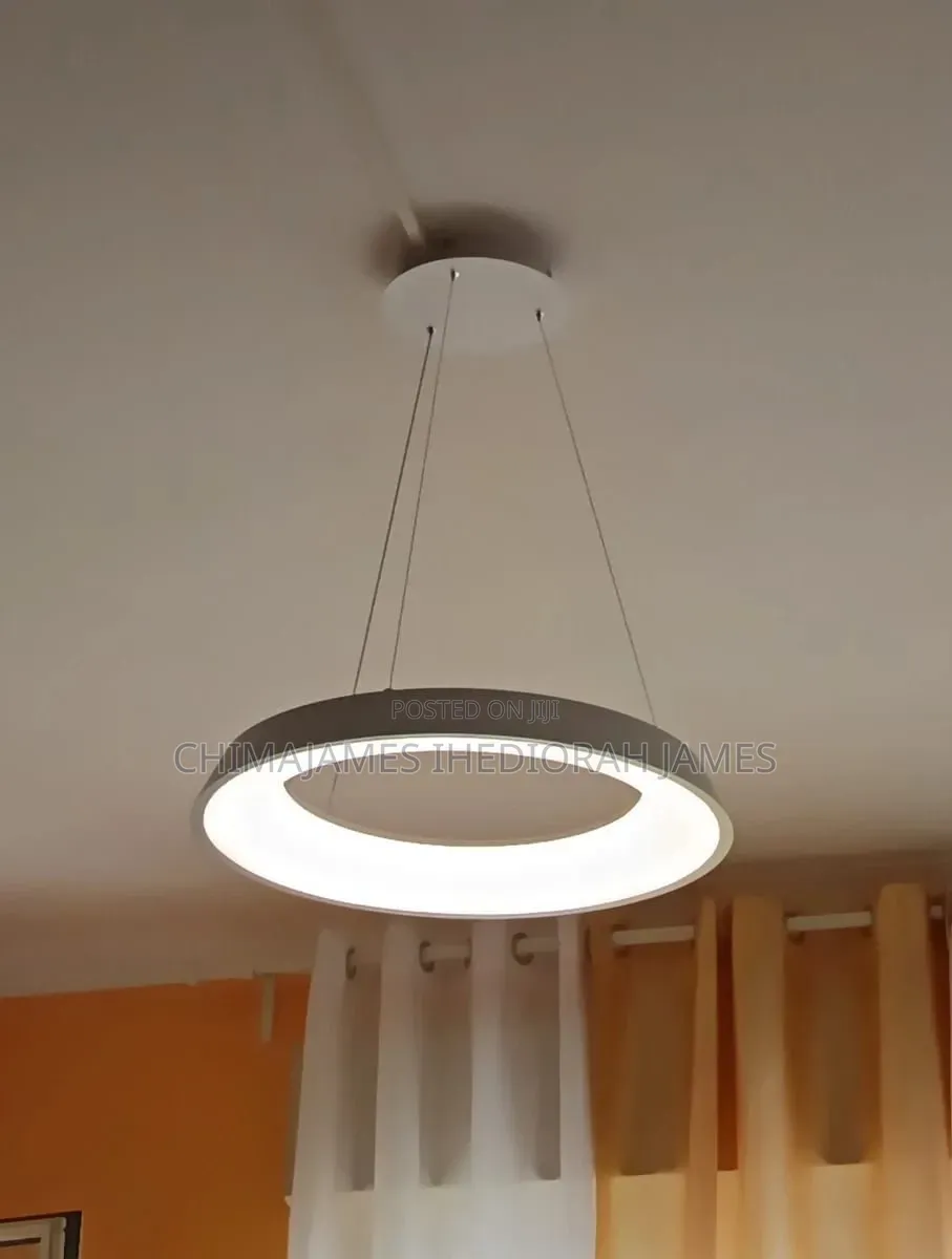 Led Ring Pendant Light Nordic Modern Minimalist Iron Hanging Lamp Livi
