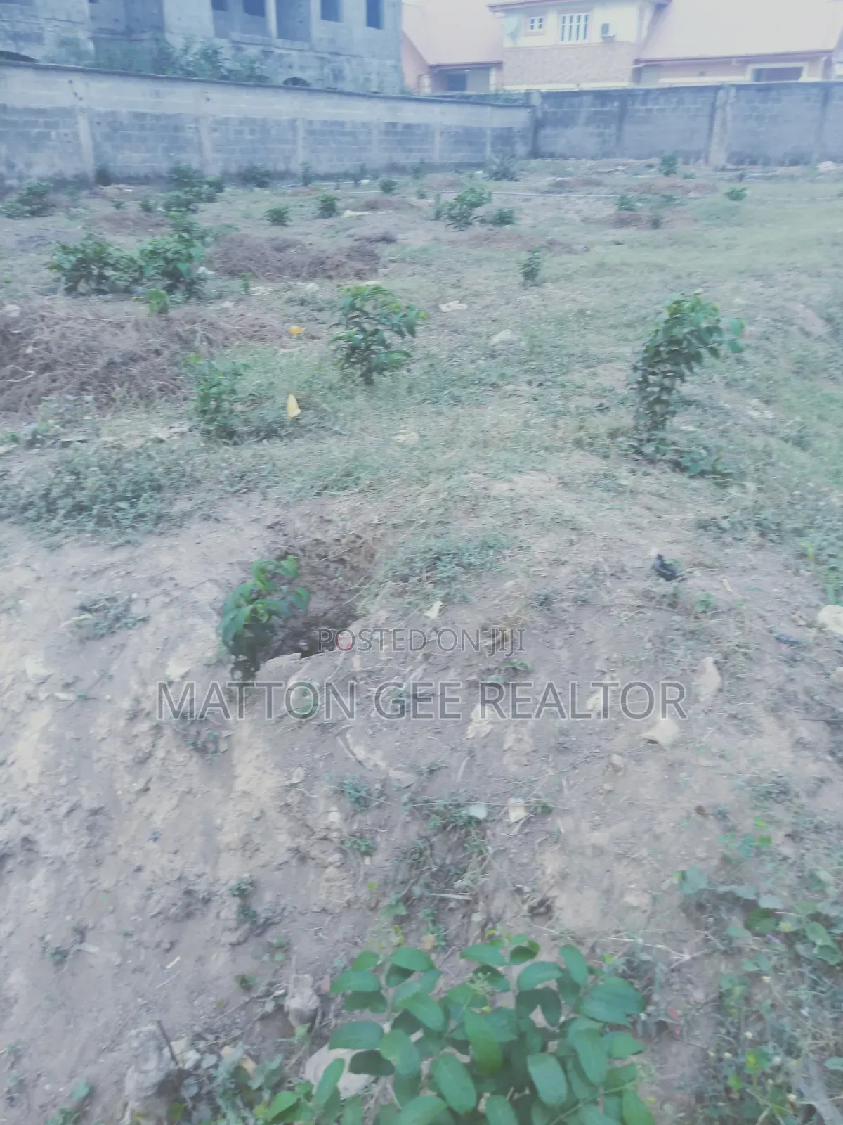 Standard Full Plot of Land