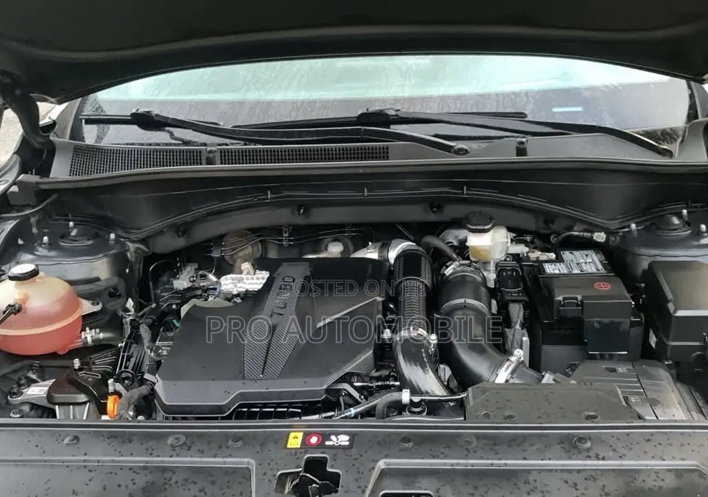 Hyundai Santa Fe Limited 2021 Black