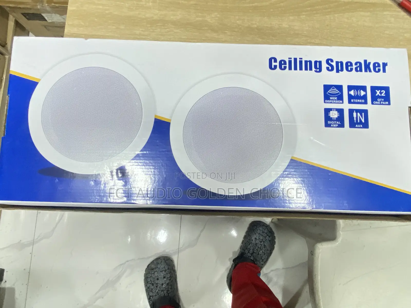 Lucky Tone Double Ceiling Speaker in 1