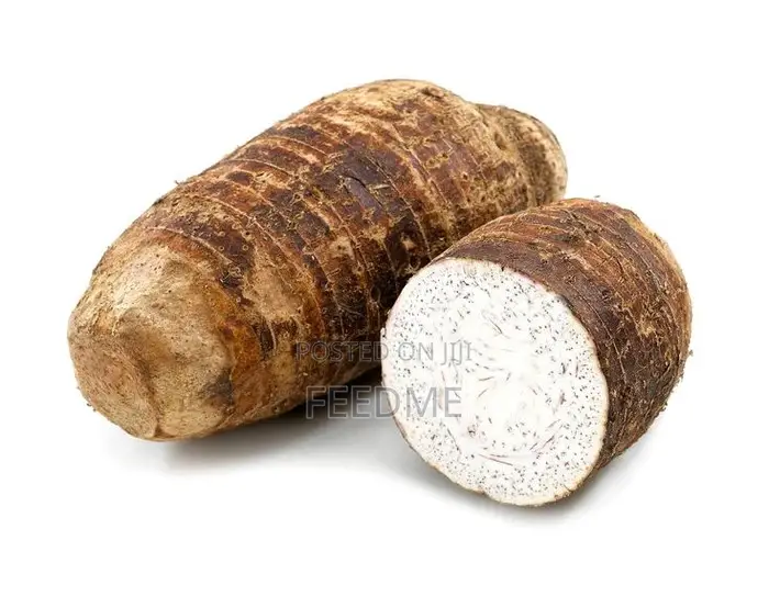 Fresh Cocoyam