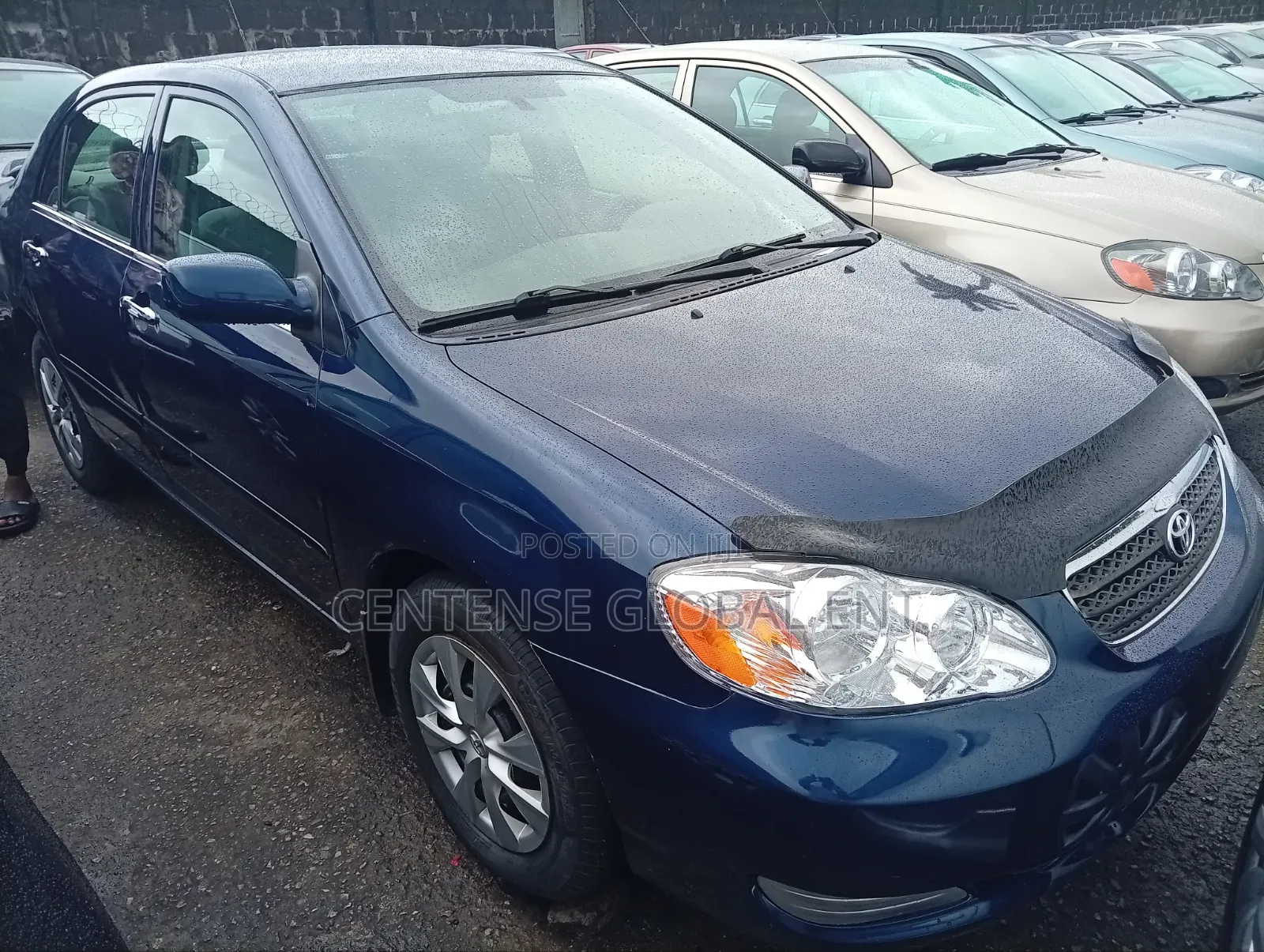 Toyota Corolla 2006 Blue