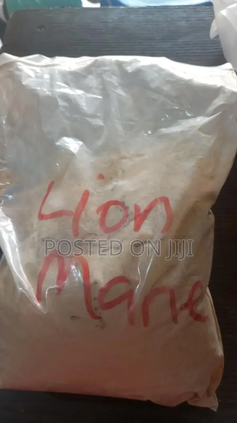 Lion's Mane Powder 100g