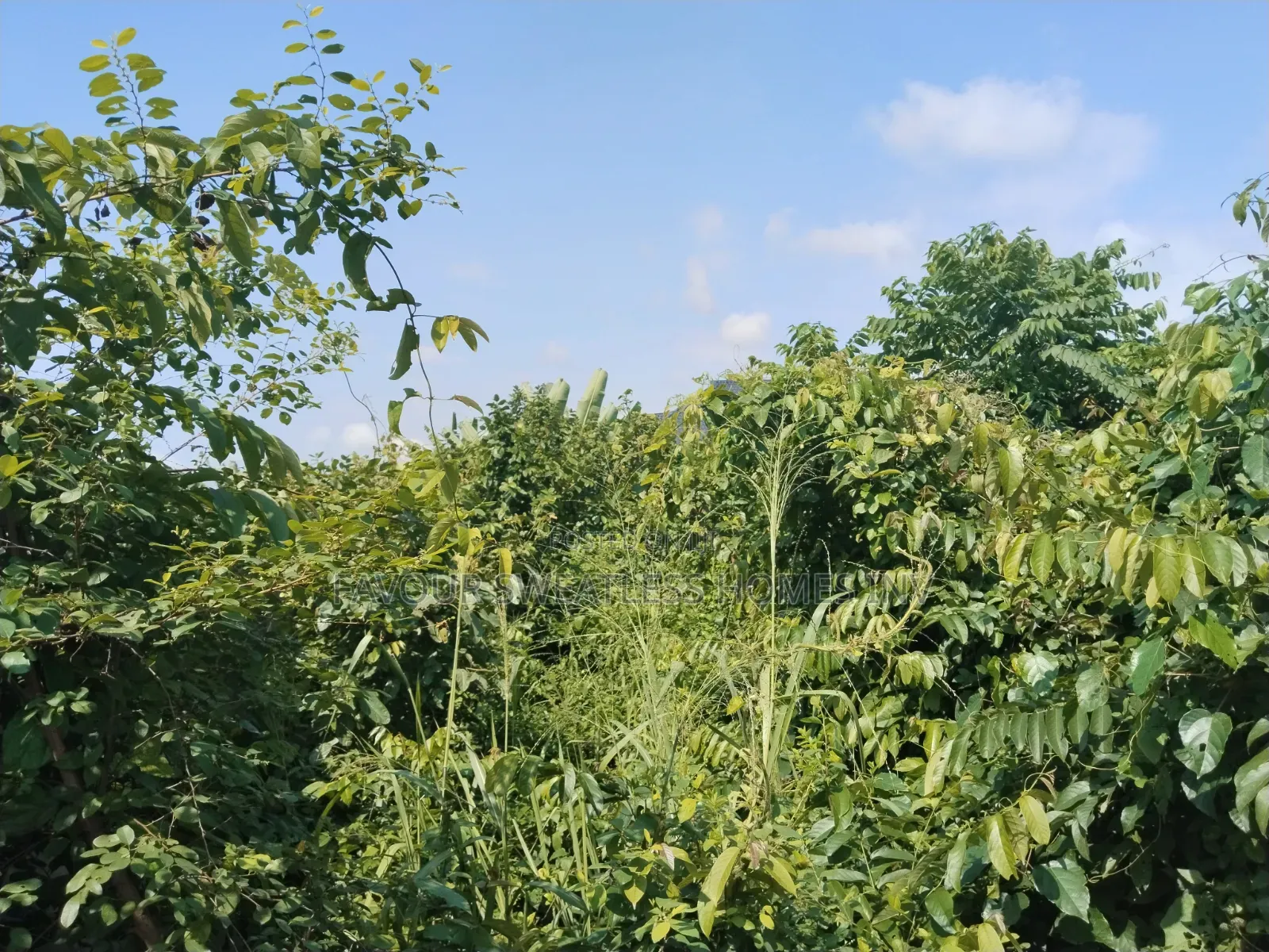 Lovely Plot of Land Fenced With Gate at Makogi Magboro Extension