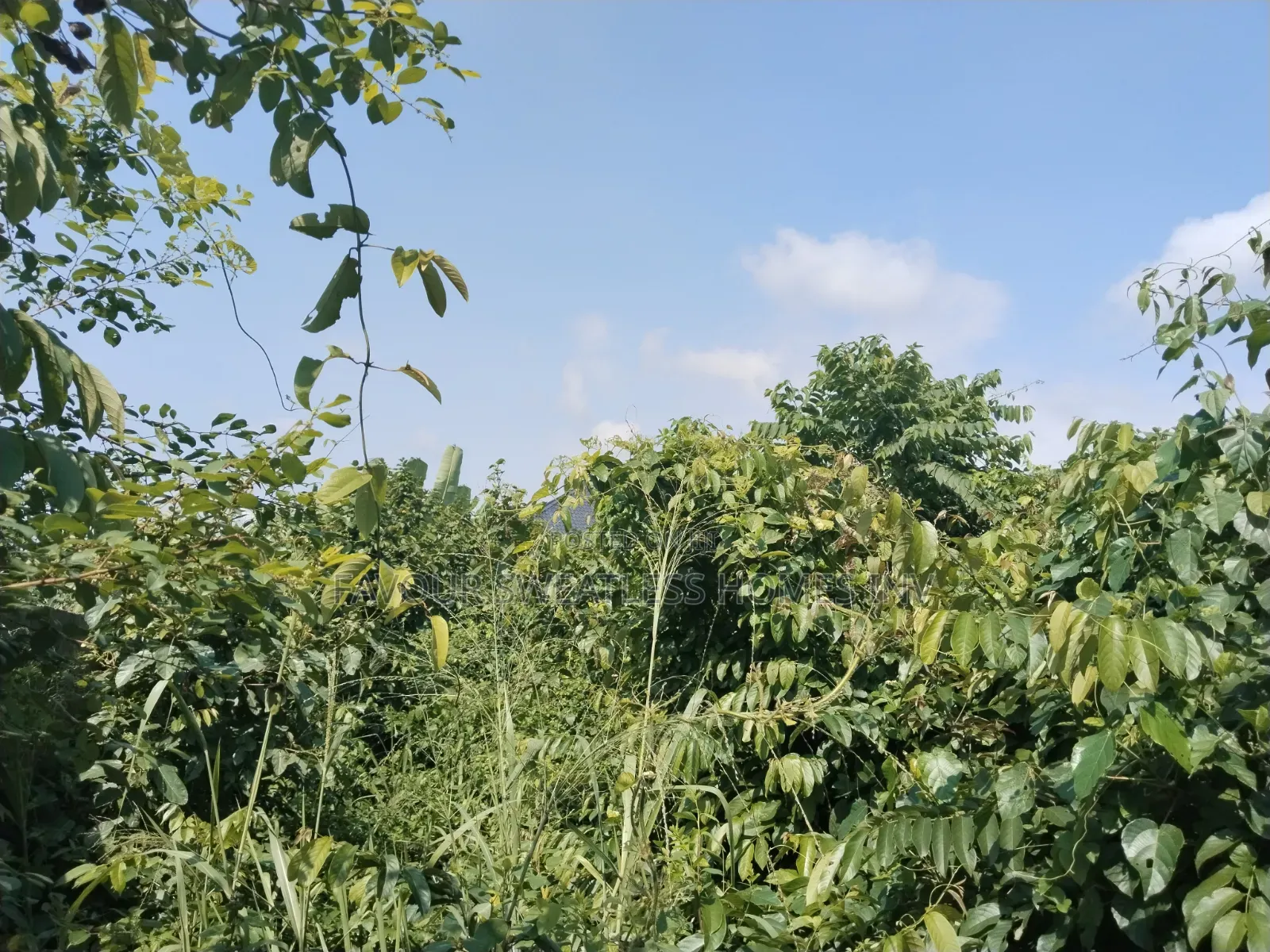 Lovely Plot of Land Fenced With Gate at Makogi Magboro Extension