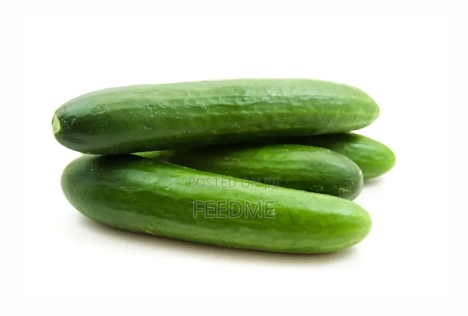 Fresh Cucumber