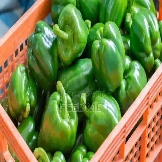 Green Bell Pepper