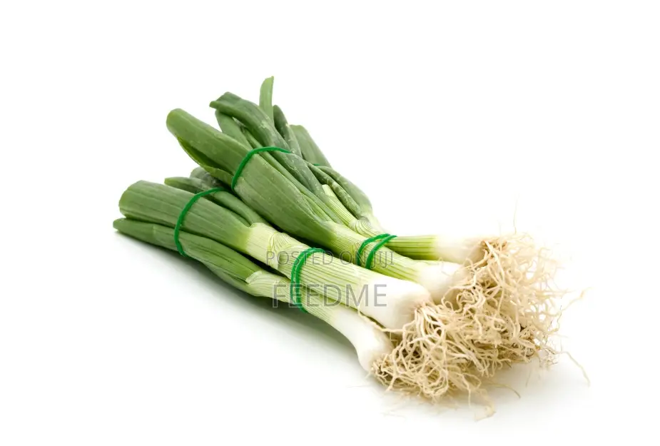 Spring Onion
