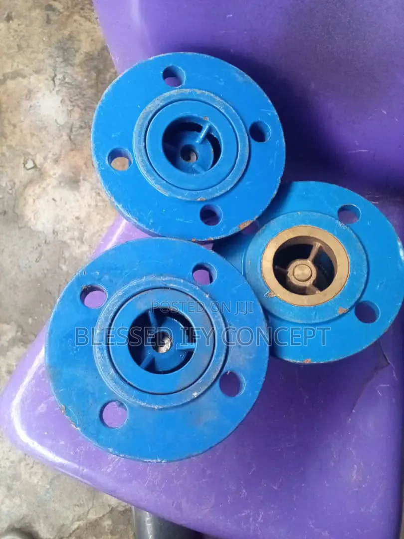 2" Foot Valve , Also Available in Different Sizes