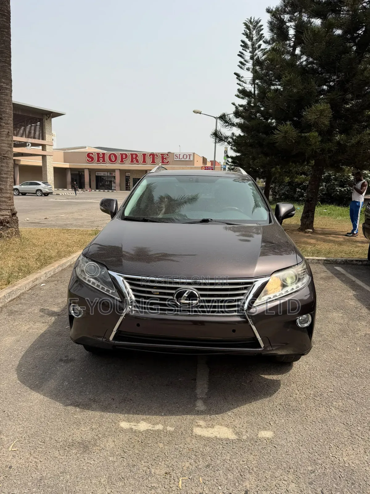 Lexus RX 2013 Brown