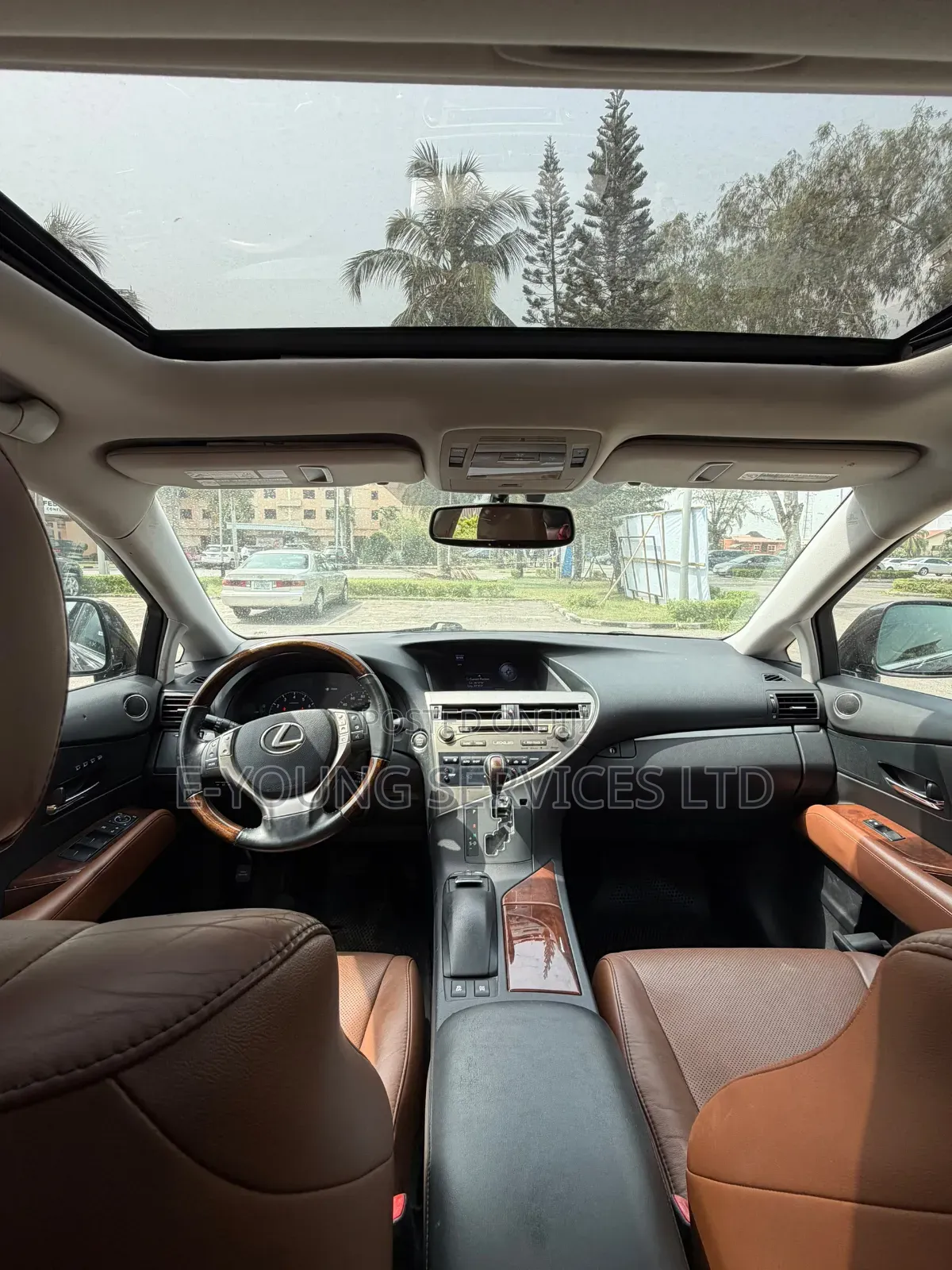 Lexus RX 2013 Brown