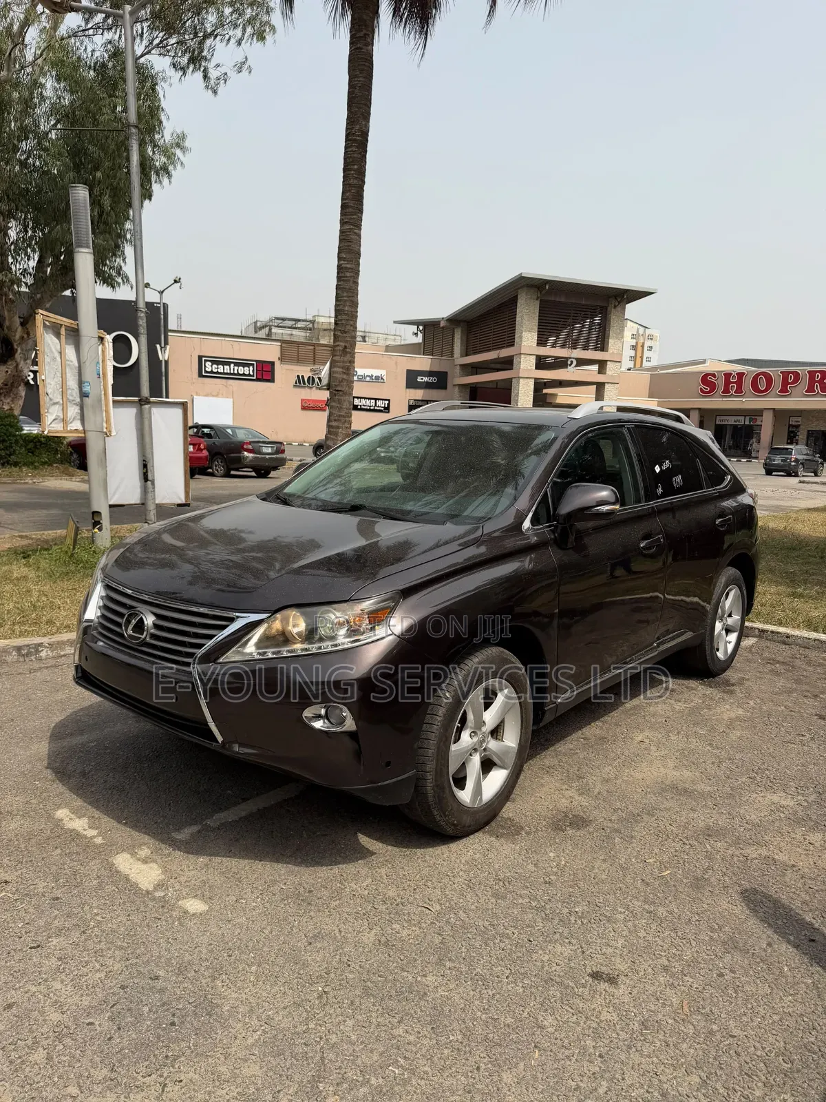 Lexus RX 2013 Brown