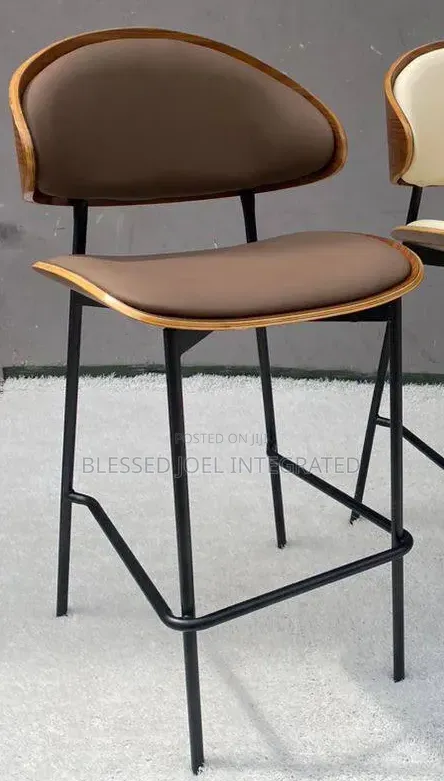 Modern Arm Dining Chair