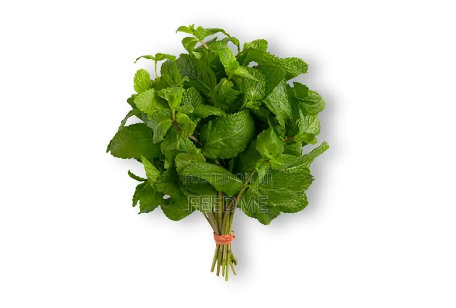 Mint Leaves