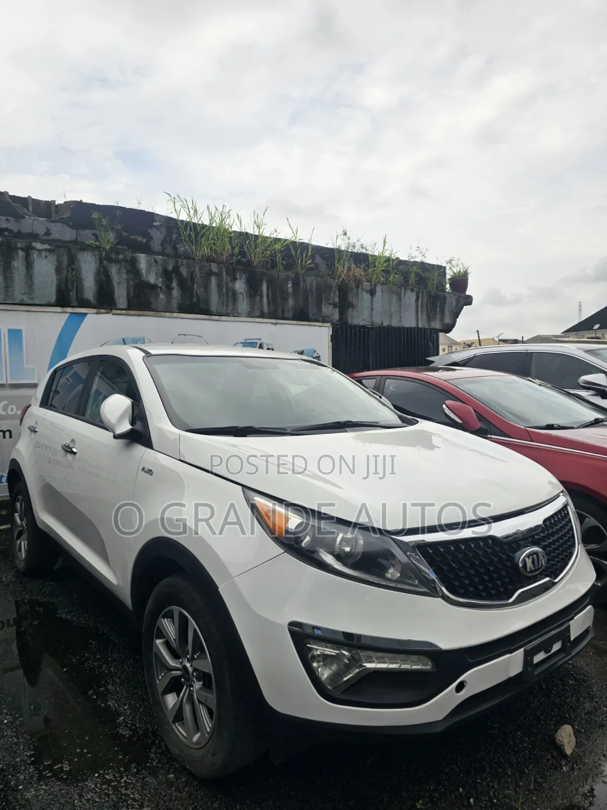 Kia Sportage 2014 White