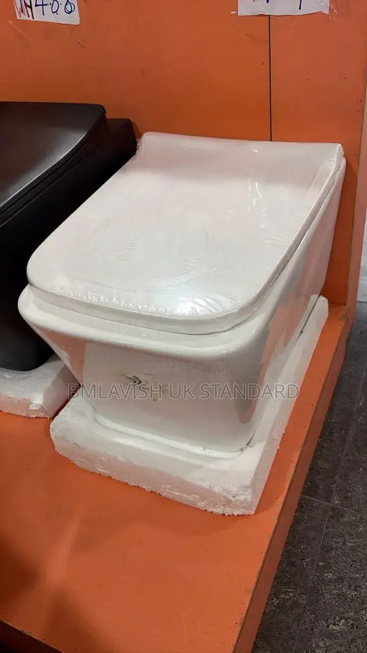 Original Wall Hung Water Closet the Choice Product