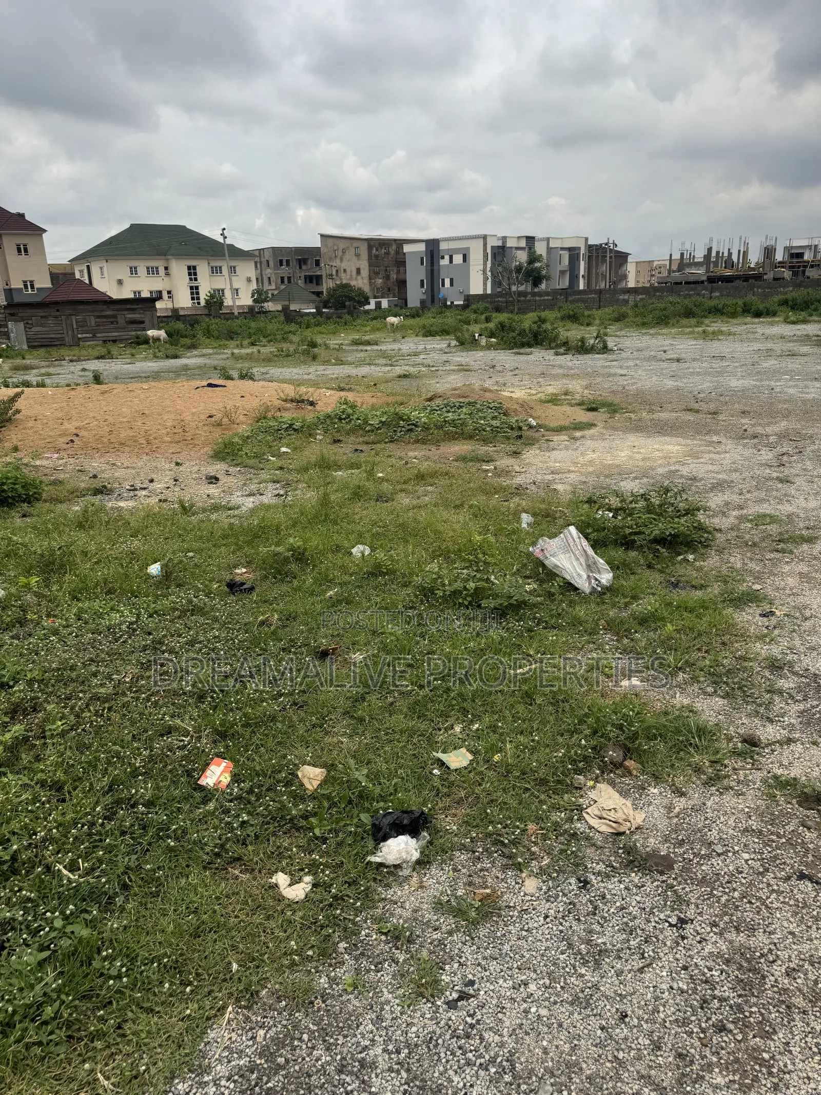 Certificate of Occupancy