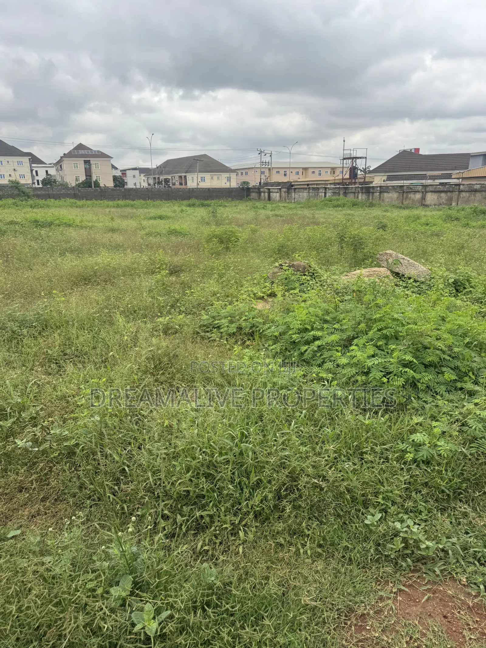 Certificate of Occupancy