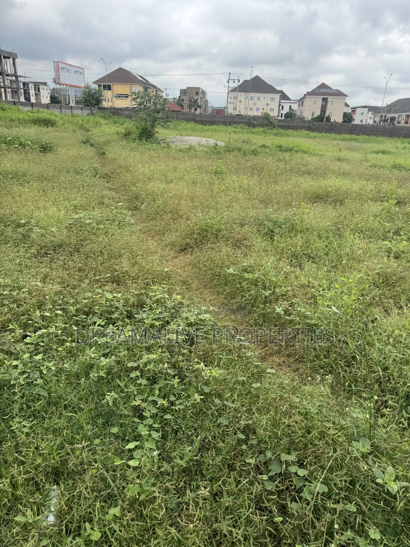 Certificate of Occupancy
