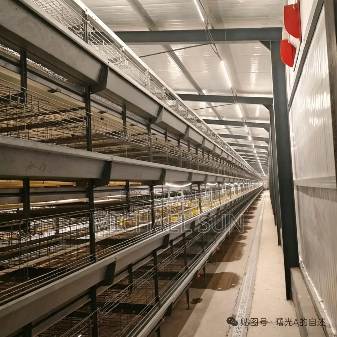 Battery Cages Automatic Chicken Farming Equipments