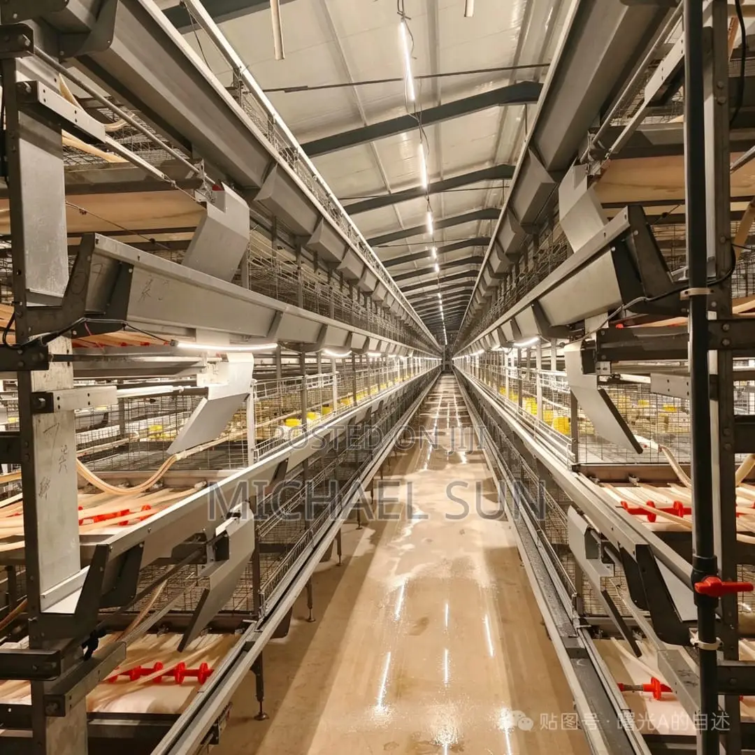 Battery Cages Automatic Chicken Farming Equipments