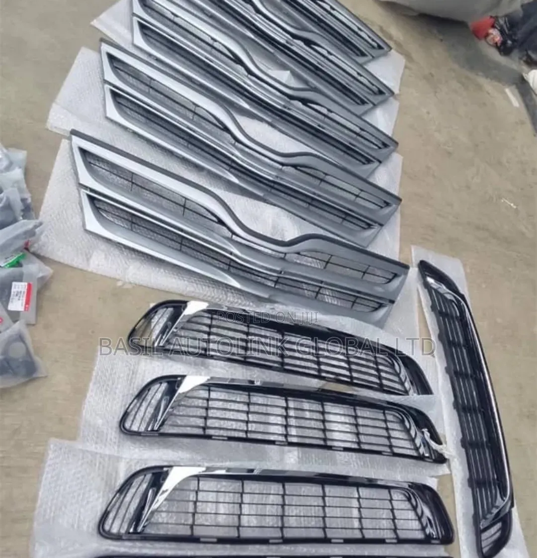 Complete Front Bumper Grille Venza