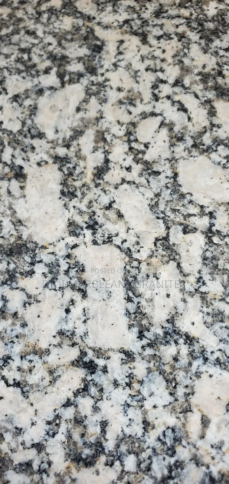 Tiger White 60x60 Granite Tiles